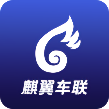 麒翼车联风控云平台app