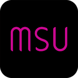 msu salon手机版